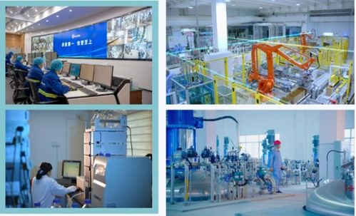 安琪酶制剂公司获评 智能工厂梯度培育2024年度先进级智能工厂示范企业